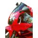 Honda VTR 1000 SP1 SC45 plexi - MRA Spoiler | P06437