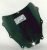Triumph TT 600 806AD plexi - MRA Spoiler | P15189